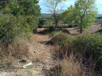 Tekirdağ Şarköy İshaklı Mahallesi Satılık Tarla 10