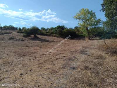 Tekirdağ Şarköy İshaklı Mahallesi Satılık Tarla 5