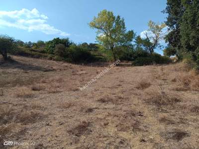 Tekirdağ Şarköy İshaklı Mahallesi Satılık Tarla 3