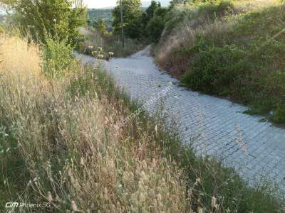 Tekirdağ Şarköy Kirazlı Mahallesi Satılık Konut Arsası 6