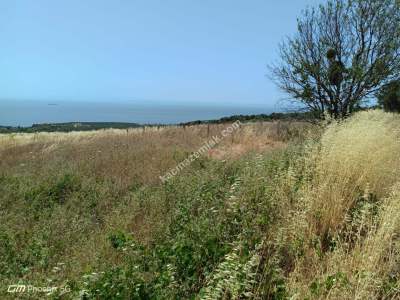 Tekirdağ Şarköy Mürefte Mahallesinde Satılık Konut Arsa 3