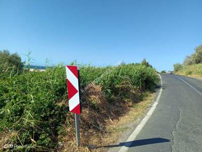 Tekirdağ Şarköy Mürefte Mahallesi Satılık Konut Arsası 15