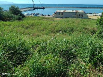 Tekirdağ Şarköy Mürefte Mahallesi Satılık Konut Arsası 1