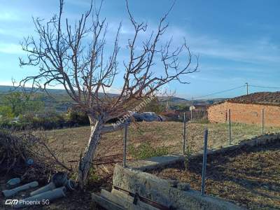 Tekirdağ Şarköy Mursallı Mah.satılık Konut İmarlı Arsa 2