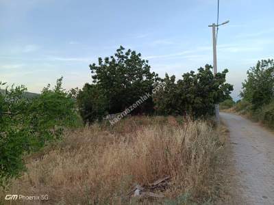 Tekirdağ Şarköy Tepeköy De Satılık % 70 İmarlı Arsa 3