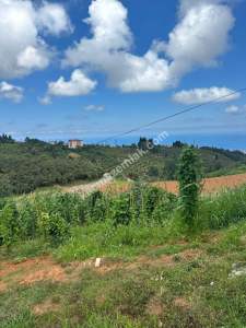 Trabzon Pelitli De Satılık Taş Duvarları Yapılı Arsalar 2