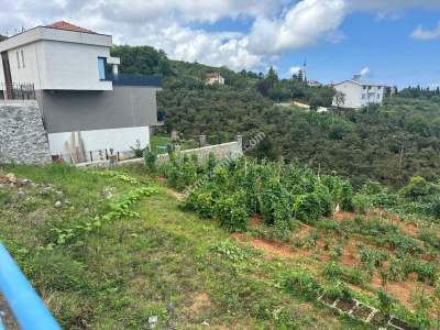 Trabzon Pelitli De Satılık Taş Duvarları Yapılı Arsalar 10