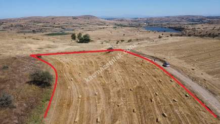 Balıkesir Karesi Şamlı'da 7000M2 Satılık Tarım Arazisi 3