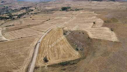 Balıkesir Karesi Şamlı'da 7000M2 Satılık Tarım Arazisi 11