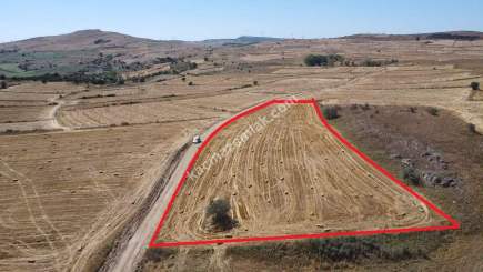 Balıkesir Karesi Şamlı'da 7000M2 Satılık Tarım Arazisi 1