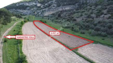 Kütahya Aslanapa Aslıhanlar'da 2497M2 Satılık Tarla 12