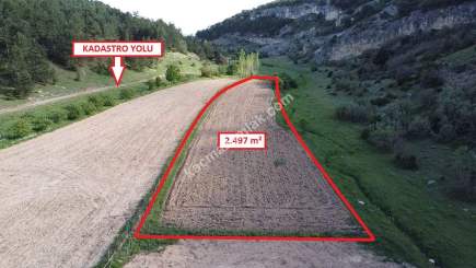 Kütahya Aslanapa Aslıhanlar'da 2497M2 Satılık Tarla 16