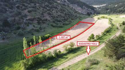 Kütahya Aslanapa Aslıhanlar'da 2497M2 Satılık Tarla 18