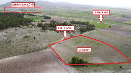 Kütahya Aslanapa Aslıhanlar'da 2695M2 Satılık Tarla 3