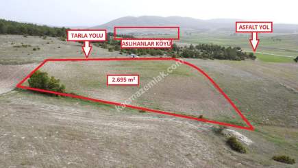 Kütahya Aslanapa Aslıhanlar'da 2695M2 Satılık Tarla 2