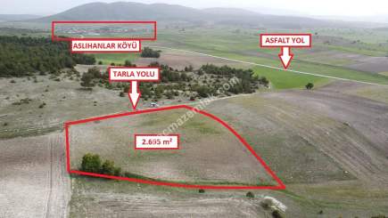 Kütahya Aslanapa Aslıhanlar'da 2695M2 Satılık Tarla 5