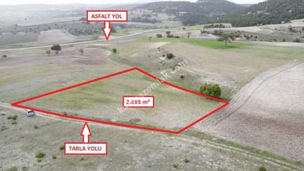 Kütahya Aslanapa Aslıhanlar'da 2695M2 Satılık Tarla 18