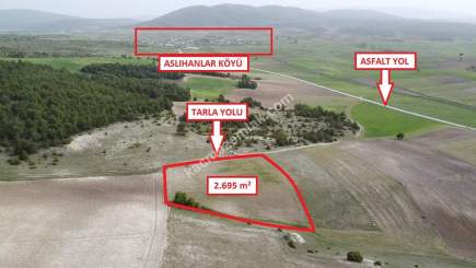 Kütahya Aslanapa Aslıhanlar'da 2695M2 Satılık Tarla 6