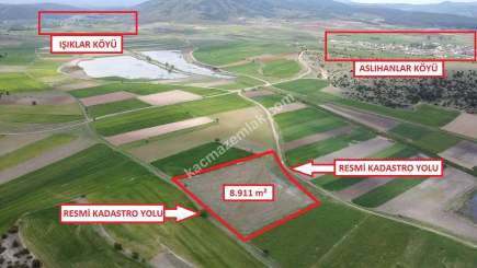 Kütahya Aslanapa Aslıhanlar Köyü 8911M2 Satılık Tarla 27