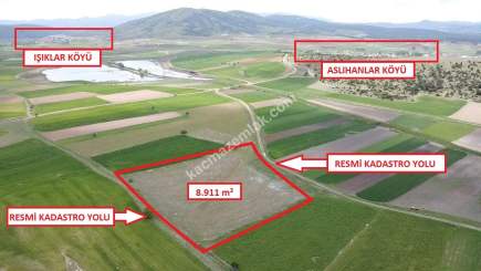 Kütahya Aslanapa Aslıhanlar Köyü 8911M2 Satılık Tarla 28