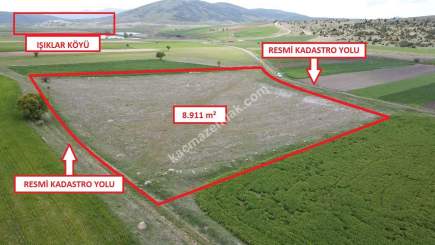 Kütahya Aslanapa Aslıhanlar Köyü 8911M2 Satılık Tarla 3