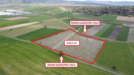 Kütahya Aslanapa Aslıhanlar Köyü 8911M2 Satılık Tarla 16