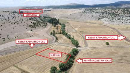 İlçe Merkezine 5Km+Hayvancılık Sanayi 4Km Satılık Arsa 1