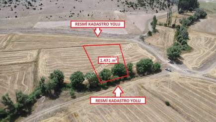 İlçe Merkezine 5Km+Hayvancılık Sanayi 4Km Satılık Arsa 8