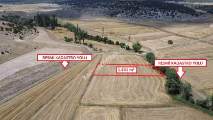 İlçe Merkezine 5Km+Hayvancılık Sanayi 4Km Satılık Arsa 3