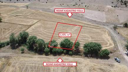 İlçe Merkezine 5Km+Hayvancılık Sanayi 4Km Satılık Arsa 6