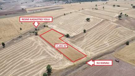 Kütahya Aslanapa Terziler Köyü'nde 2241M2 Satılık Tarl 9