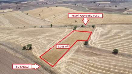 Kütahya Aslanapa Terziler Köyü'nde 2241M2 Satılık Tarl 5