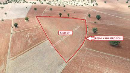 Doğalar'da 5.339M2 Arazi Açıklamayı Okuyunuz!!! 11