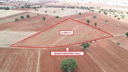 Doğalar'da 5.339M2 Arazi Açıklamayı Okuyunuz!!! 2