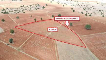 Doğalar'da 5.339M2 Arazi Açıklamayı Okuyunuz!!! 5