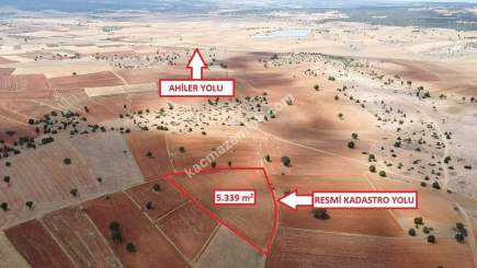 Doğalar'da 5.339M2 Arazi Açıklamayı Okuyunuz!!! 1