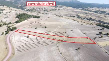 Kütahya Merkez Kuyusinir 5506M2 Satılık Tarla 3