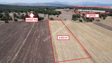 Kütahya Merkez Teşvikiye Köyü'nde 3553M2 Satılık Arsa 14