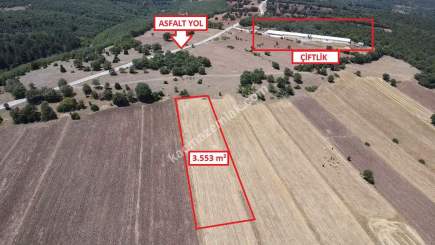 Kütahya Merkez Teşvikiye Köyü'nde 3553M2 Satılık Arsa 16