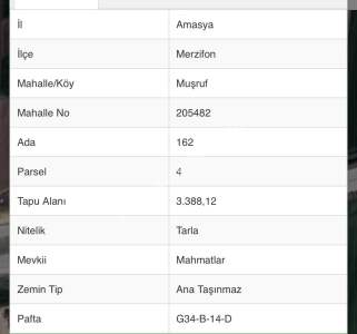 Merzifon İstanbul Yolunda Satılık 3.388 M2 Tarla 4