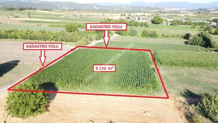 Mustafakemalpaşa' Da Yatırımlık 3150M2 Tarla 4