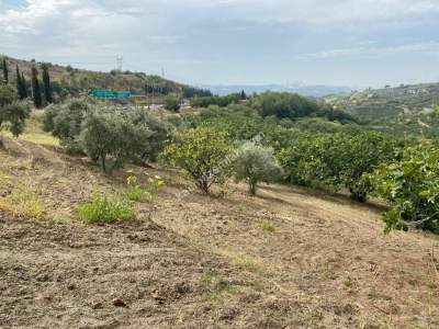 Osmangazi Çağlayanda Satılık Bahçe 2