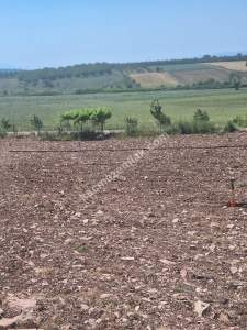 Yenişehir Akbıyık Köyünde Asfaltın Dibinde Stlk Tarla 9