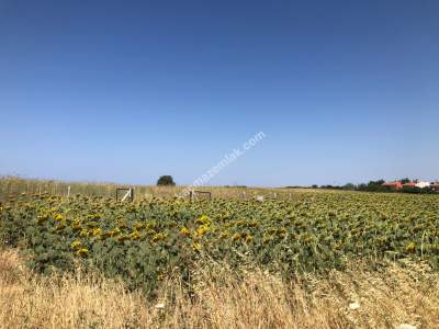 Çanakkale Gelibolu Saroz Körfezi Satılık Tarla 20