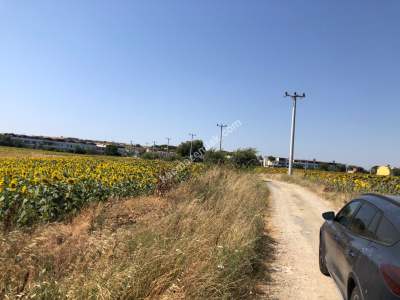 Çanakkale Gelibolu Saroz Körfezi Satılık Tarla 15