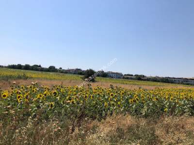 Çanakkale Gelibolu Saroz Körfezi Satılık Tarla 17