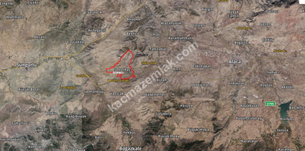 Çorum Sungurlu Şekerhacılı'da 17.500 M2 Satılık Tarla 3