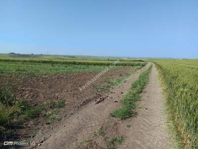 Kırklareli Lüleburgaz Ovacık Mahallesi Satılık Tarla 7