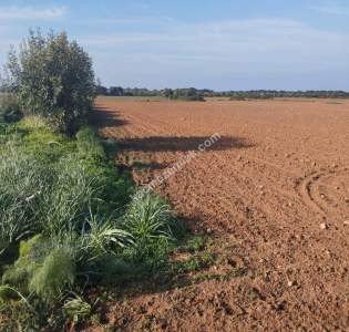 Dipkarpaz Da 17000 Metre Gelişime Açık Uygun Tarla 1