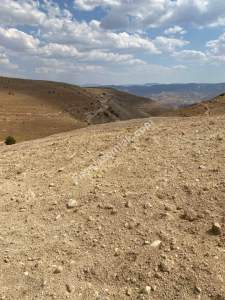 Siirt Tillo'da Fakirullah Mah Satılık 14 Dönüm Tarla 13